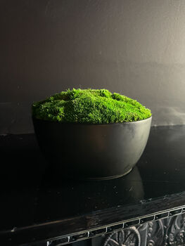 Preserved Moss In Ceramic Sugar Bowl For Table Centrepiece, 4 of 6