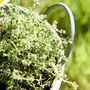 Metal Planter Tub With Handles, thumbnail 4 of 4
