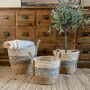 Cream, Grey And Neutral Jute Basket With Handles, thumbnail 4 of 4