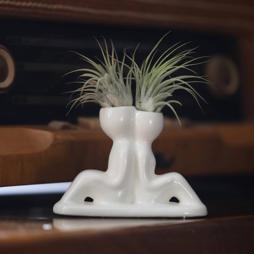 Mini Ceramic Couple Figure Plant Holder With Air Plants By DingaDing