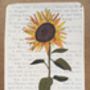 Sunflower On Vintage Book Paper Greeting Card, thumbnail 3 of 3