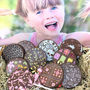 Handmade Chocolate Lollies For All Occasions, thumbnail 2 of 8