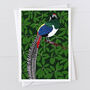 Lady Amherst Pheasant Greeting Card, thumbnail 1 of 2