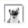 Pine Marten Wildlife Greeting Card, thumbnail 2 of 6