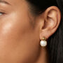 White Pearl Coin Stud Earrings In Gold, thumbnail 1 of 3
