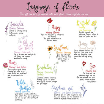 Language Of Flowers Letterbox Socks, 3 of 3