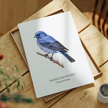 Indigo Bunting Bird Wall Print, 5 of 6