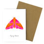 Rosy Maple Moth A6 Greetings Cards, thumbnail 7 of 7