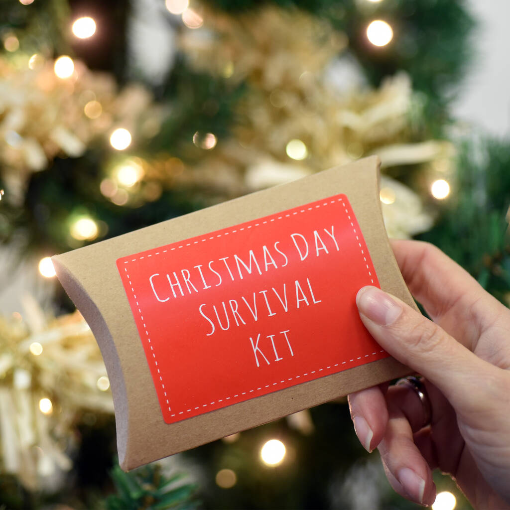 Christmas Day Survival Kit Funny Secret Santa, 1 of 5