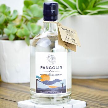 Pangolin Gin, Small Batch Hand Crafted Gin, 6 of 9