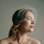 Wren Ivory Slim Bridal Headband With Birdcage Veil, thumbnail 1 of 2