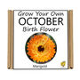 Unusual Birthday Gardening Gift. October Birth Flower, thumbnail 3 of 3