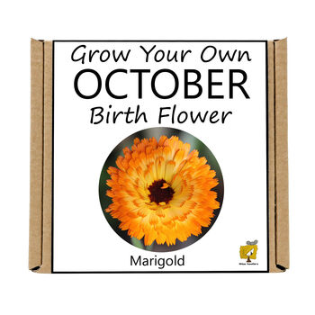 Unusual Birthday Gardening Gift. October Birth Flower, 3 of 4