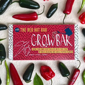 Grow Your Own Kitchen Garden With Growbars, 4 of 7