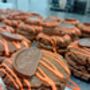 Chocolate Orange Cookie Sandwich – Terry's Topped, thumbnail 3 of 6