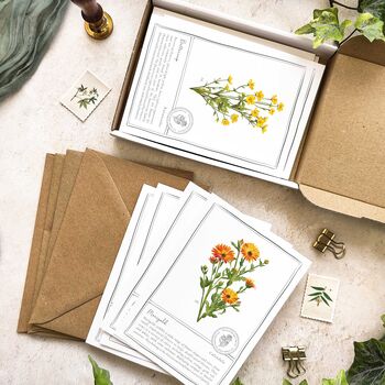Botanical Wildflowers Postcards Gift Set, 4 of 10