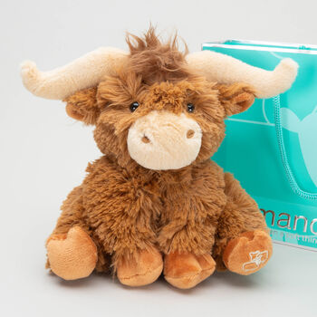 Small Highland Longhorn Cow Plush Soft Toy, 3 of 6