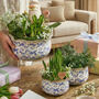 Personalised Gift Set Of Three Solene Blue Botanical Planters, thumbnail 1 of 11