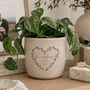 Personalised Engraved Plant Pot Wedding Gift, thumbnail 1 of 8