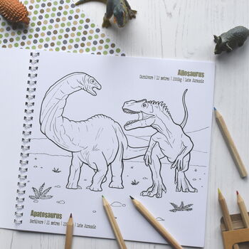 Dinosaur Colouring Book, 2 of 7