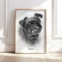 Personalised Black And White Pencil Sketch Pet Portrait, thumbnail 8 of 12