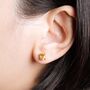 Citrine Oval Stud Earrings In Sterling Silver And Gold, thumbnail 2 of 8