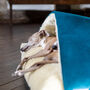 Charley Chau Winter Warm Snuggle Bed, thumbnail 3 of 11