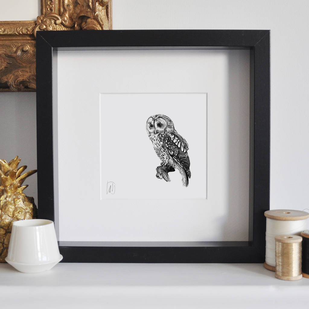 Framed Owl Print By Lale Guralp