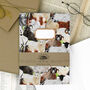 Flock Of Sheep Lined And Plain Notebook Set, thumbnail 4 of 8