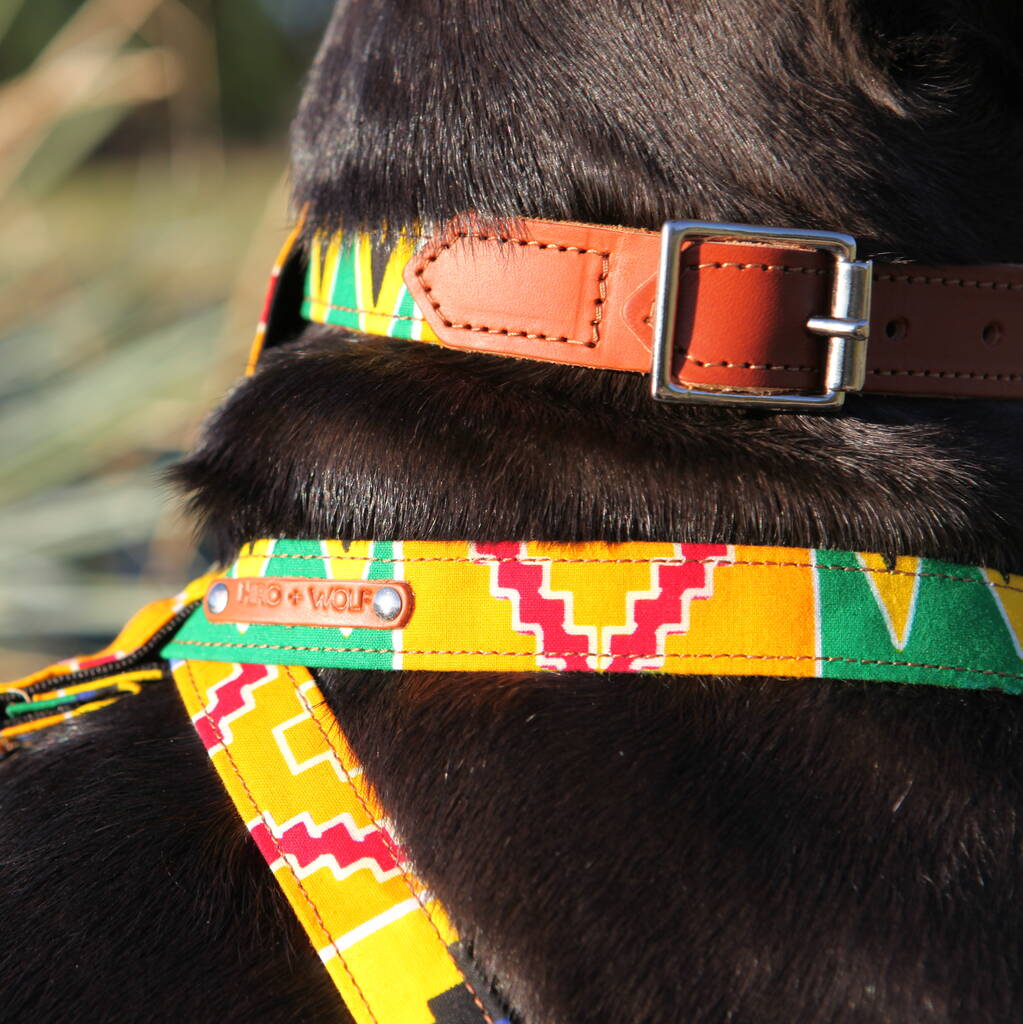 wolf dog collars