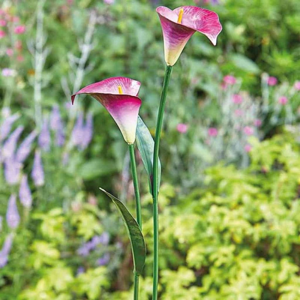 Lily Flower Garden Ornament By Garden Selections