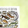 Freshwater Fish Of Britain Greeting Card, thumbnail 4 of 7