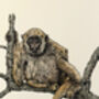 N Is For Northern Muriqui Illustration Print, thumbnail 4 of 6