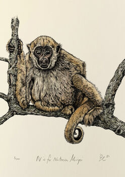 N Is For Northern Muriqui Illustration Print, 4 of 6