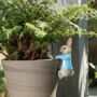 Peter Rabbit Pot Hanger, thumbnail 3 of 5