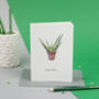 Personalised Herbs And Flowers Greetings Card, thumbnail 8 of 12