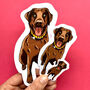 Personalised Waterproof Full Body Pet Portrait Stickers, thumbnail 9 of 11