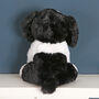 Eco Border Collie Soft Plush Toy Dog, thumbnail 3 of 7