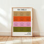 Sea Shells Giclée Retro Art Print, thumbnail 1 of 5