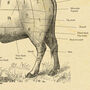 British Butcher Chart, Meat Cuts Diagram, thumbnail 4 of 8