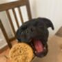 Dogestive Beef Flavoured Biscuit, thumbnail 1 of 5