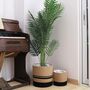 Pack Of Two Flower Planter Storage Containers, thumbnail 8 of 12