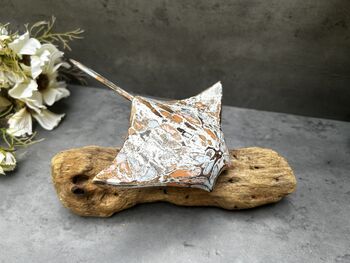 Multi Coloured Wooden Stingray On Teak Root Stand Gift, 9 of 12