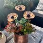 Set Of Three Mini Copper Poppy Garden Planter Stakes, thumbnail 5 of 7