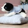 Personalised Keel Border Collie Puppy With Coat, thumbnail 1 of 5