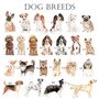 Multiple Breeds To Choose From Dog Cushion, thumbnail 4 of 7