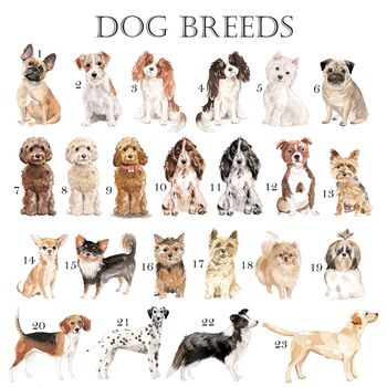 Multiple Breeds To Choose From Dog Cushion, 4 of 7