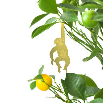 Monkies Plant Decoration, Chimp, Spider Monkey, Lemur, 3 of 4