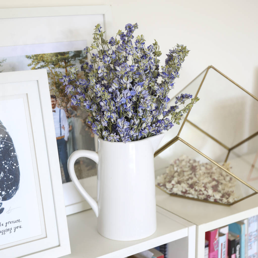 Frosted Blue Dried Flower Delphinium Bunch By Shropshire Petals ...