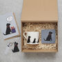Black Labrador Dog Walking Socks, thumbnail 12 of 12